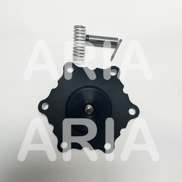 ASCO 8210G004 Solenoid Valve Repair Kit K302280 K302379 1 Diaphragm Kit for SCE210D004