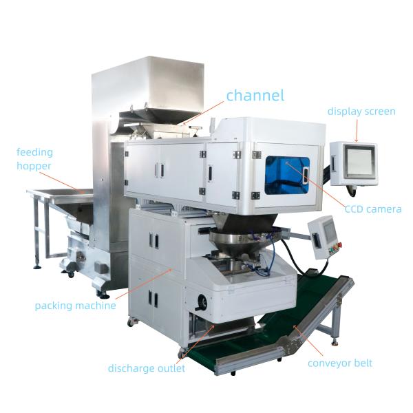500KG Automatic Vision Counter Screw PE Packing Machine Professional Durable