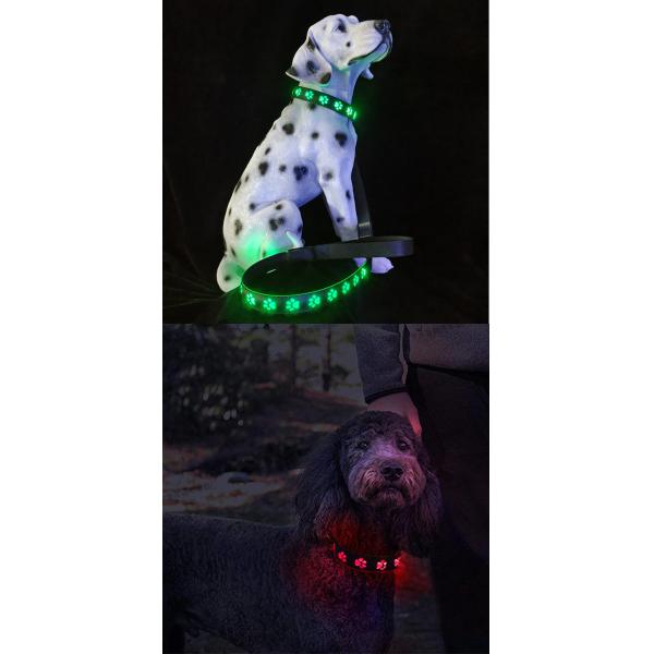 All Season LED Flashing Dog Collar Small Medium Large Illuminated Dog Collar