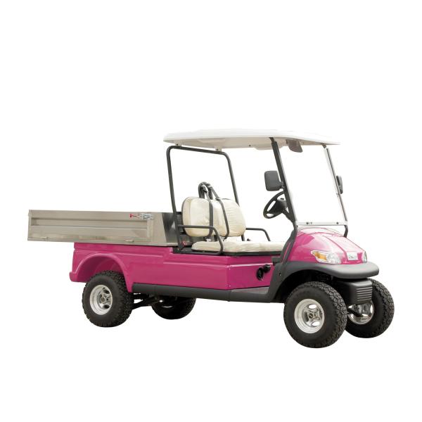 Electric Golf Car Buggy Housekeeping Car with Aluminum Cargo Box