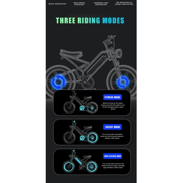 Electric E Bike 48V 350W 10.4AH Long Range E Cycle Bicycle with Integrated Battery