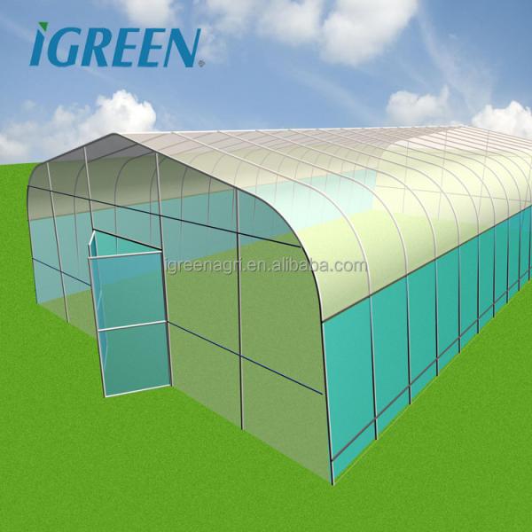Small Scale Farming Single Span Greenhouse Customize Plastic Film Greenhouse