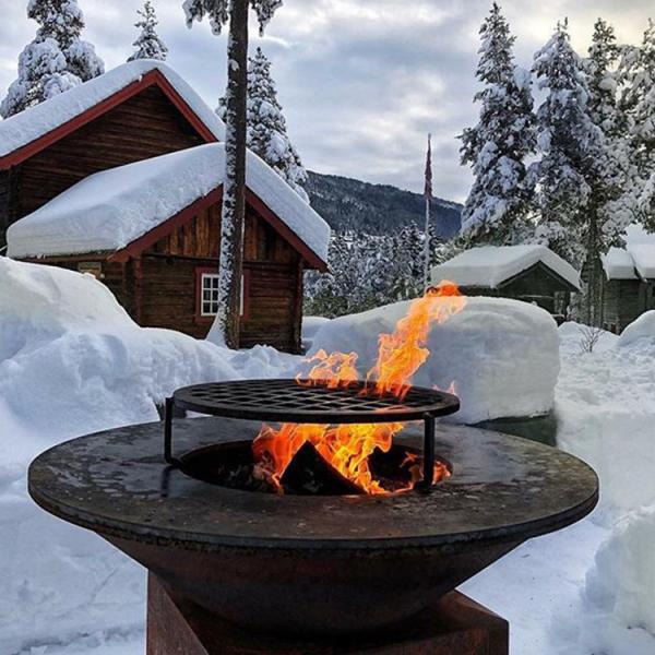Heating And Cooking Barbecue Bbq Grill