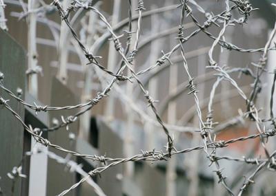 Cercas de arame farpado revestidas em PVC/galvanizadas