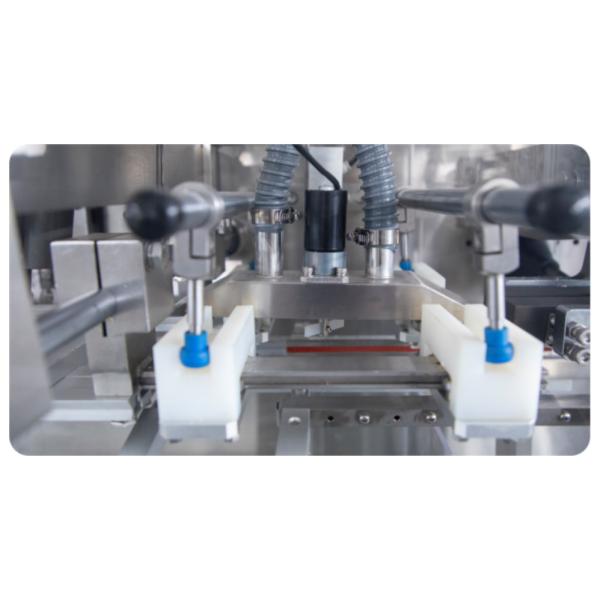 Agricultural Chemical DGD-280AJ Double Heasd Fully Automatic Horizontal Bagging Machine