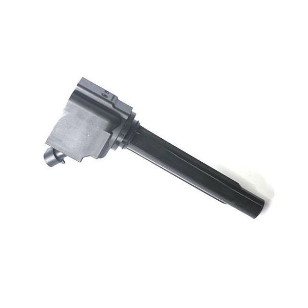 High Performance Ignition Coil Pack with Durable Copper Wire and OEM And ODM