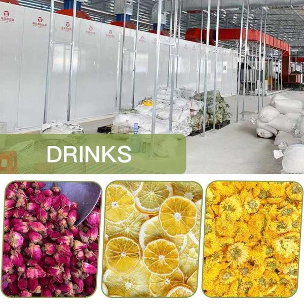SGS Continuous Belt Dryer Machine Dehumidification