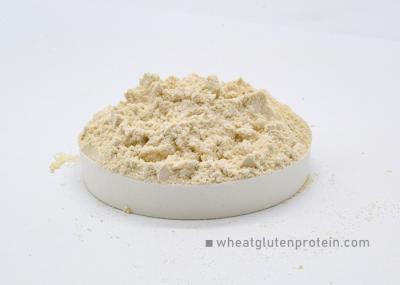 Proteína de trigo natural em pó Aditivos alimentares para massas / macarrão
