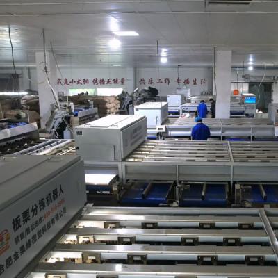 máquina de classificação a rendimento elevado da castanha de 7kW Inshell com 8 portos da descarga