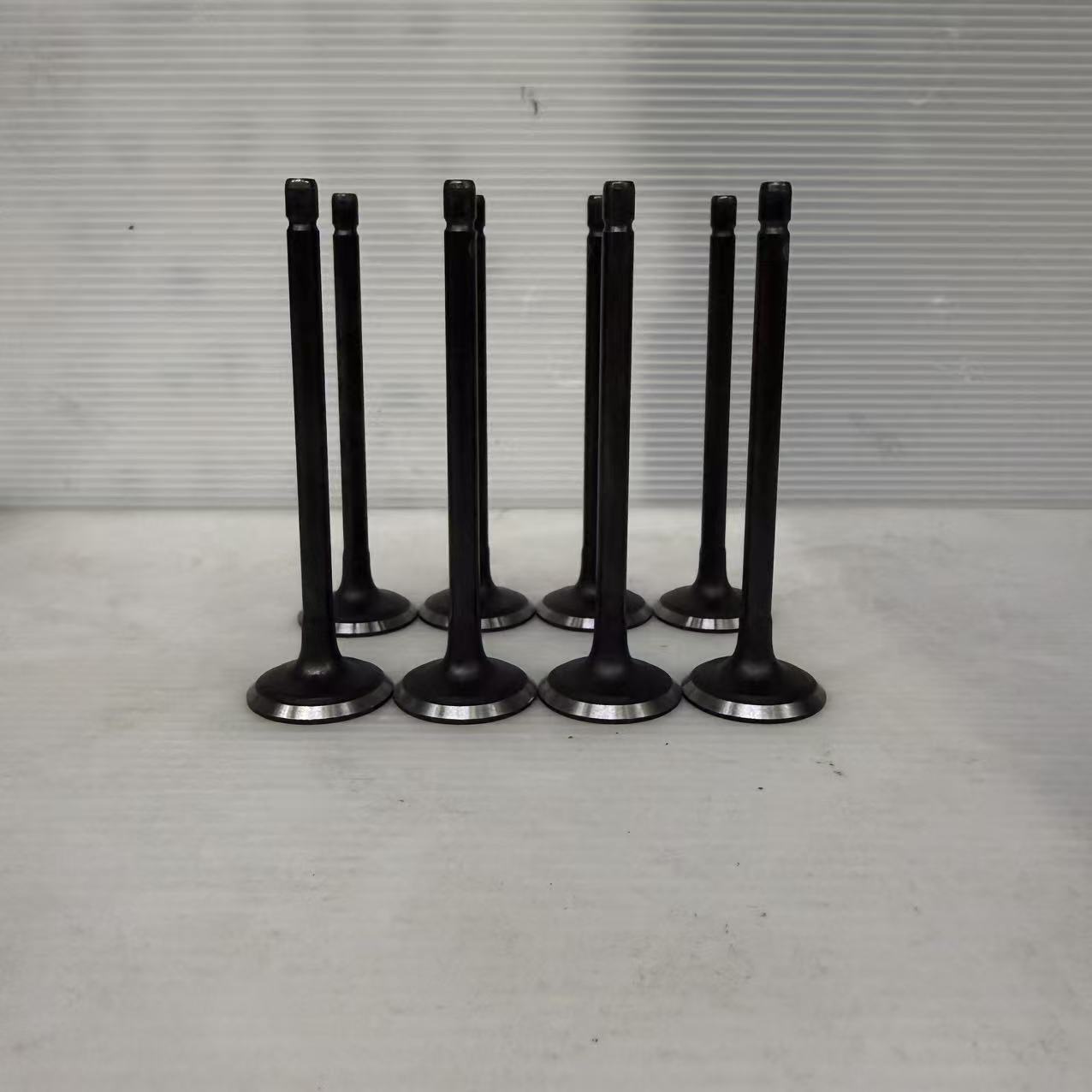 Premium Quality Intake Valve 1007011-ED01 for Great Wall 4D20D & 4D20B Engines, Built to Perform and Last.