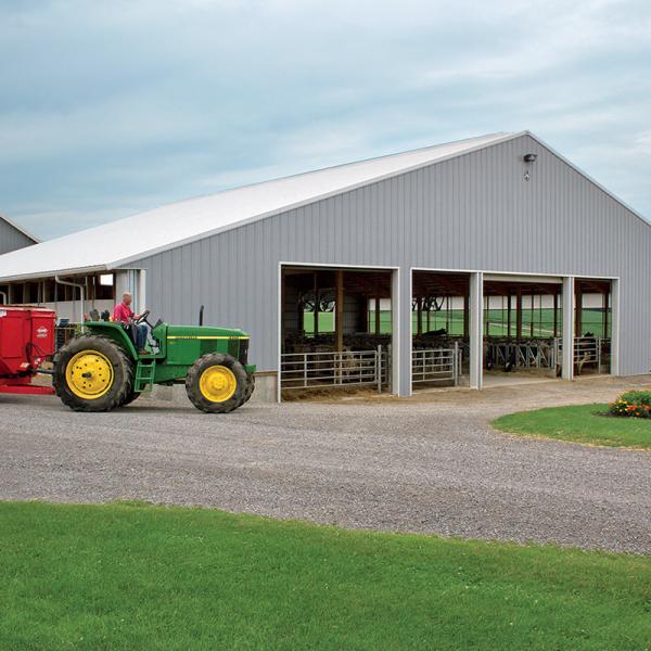 Smart Climate Controlled Steel Structure Greenhouse For Precision Animal Plant Farming