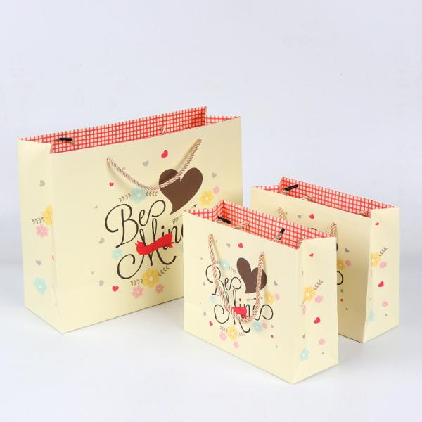 China Supplier Custom Logo Color Print With Rope Handle Custom Logo Paper Bag