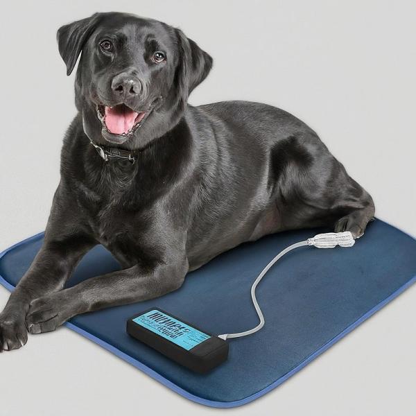 Carbon Fiber Pet Heating Pad With Overheat Protection 3 Temperature Settings