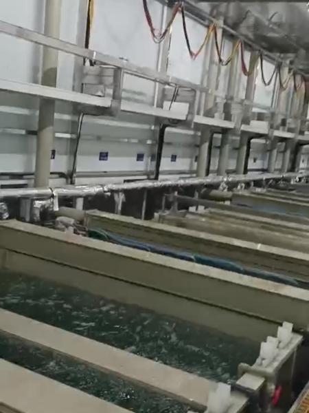 Sustainable Automated Passivation Equipment Metal Furniture Customization