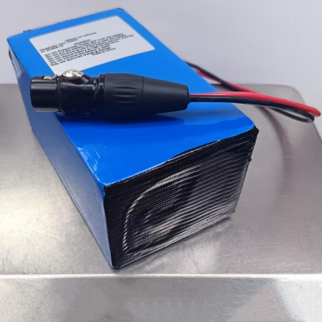 Custom Battery Pack 18650 7s4p 24V 10ah Battery for Golf Trolley