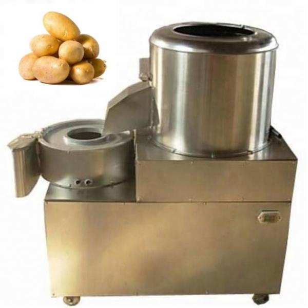 Vegetable and Fruit Cutting Machine Coconut Slicing/Dicing/Shredding Machine Double-head Carrot Cutter