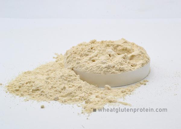 Pasta Production Use Wheat Gluten Powder Strength Additives 24 Months Shelf Life