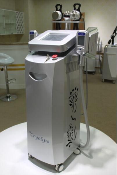 Hottest cryolipolysis for beauty salon / cryolipolysis vacuum cryolipolysis vacuum machine