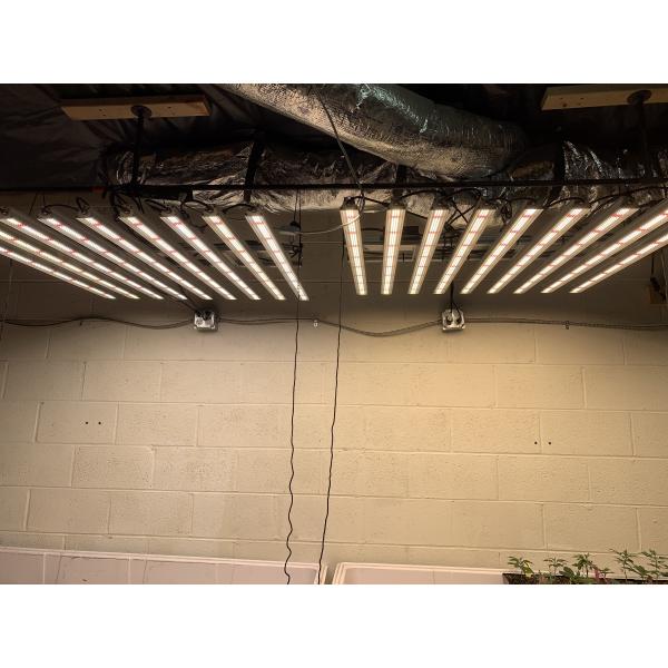 Lm301h Lm301B White Full Spectrum Grow Light Bar For Plants
