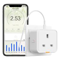 Tuya Smart Home Plug UK Socket Adapter de déplacement Conversion prise APP Fonctionne avec la voix Alexa Type C 16A WiFi RF433