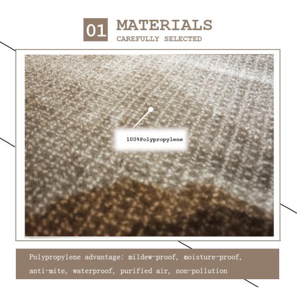 Высокая плотность высоты кучи PP половика зоны первоначального стиля природы крытая высокая