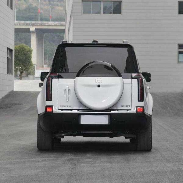 Off-Road Ternary Lithium Battery Energy Electrical EV SUV Polestones 01 Jishi 01 2023