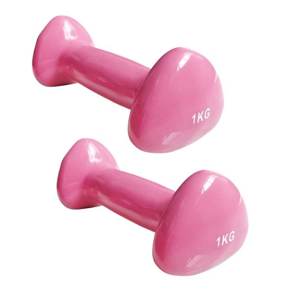 Cast Iron Gym Equipment Dumbbells Vinyl Dipping Neoprene Coated Colorful