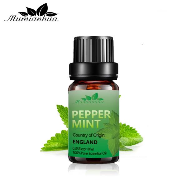 COA natural puro do USDA da aromaterapia do óleo da massagem do óleo de pastilha de hortelã de 100ml 100%