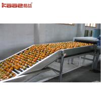 12 Grading Lanes Industrial Automatic Fruit Sorting Machine Weight Grading Efficient