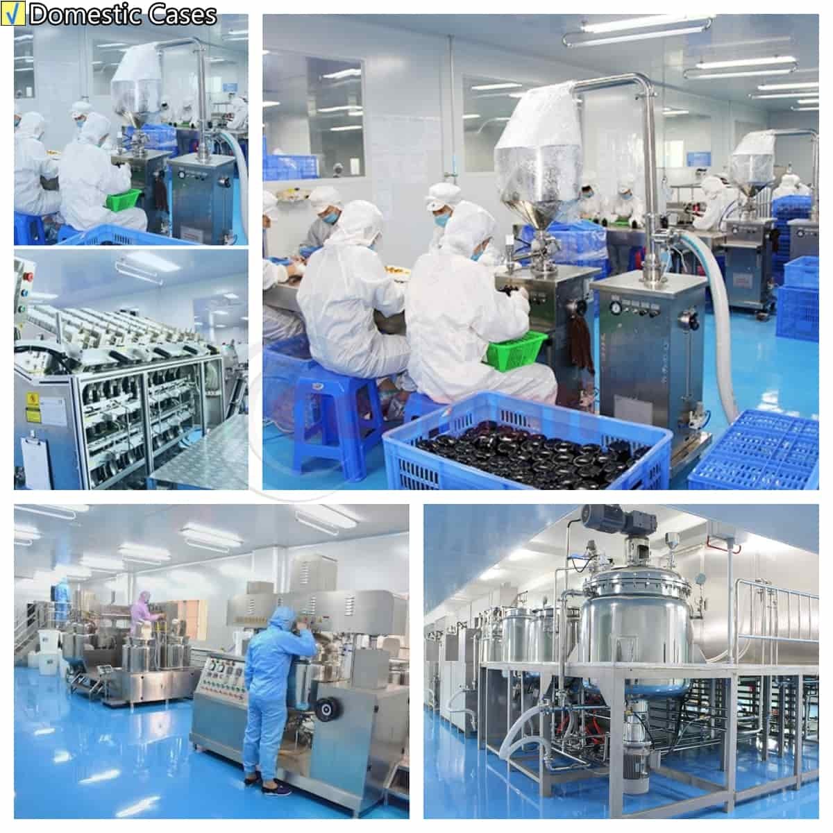 Cosmetic Lotion Vacuum Homogenizing Emulsifier Mixer Small Scale Fixed