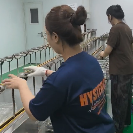 Coattech High-Precision Cleanroom Conveyor Packaging Line For Advanced Manufacturing
