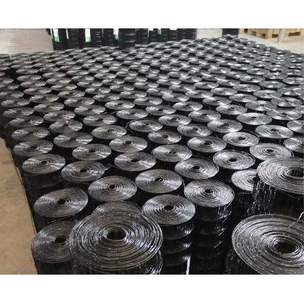 12 Gauge Vinyl Coated Welded Wire Fencing with Galvanized Steel Wire 3.7-50m Length