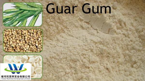 Main Active Ingredient Guar Gum for Food Thickener EINECS 232-536-8 CAS 9000-30-0