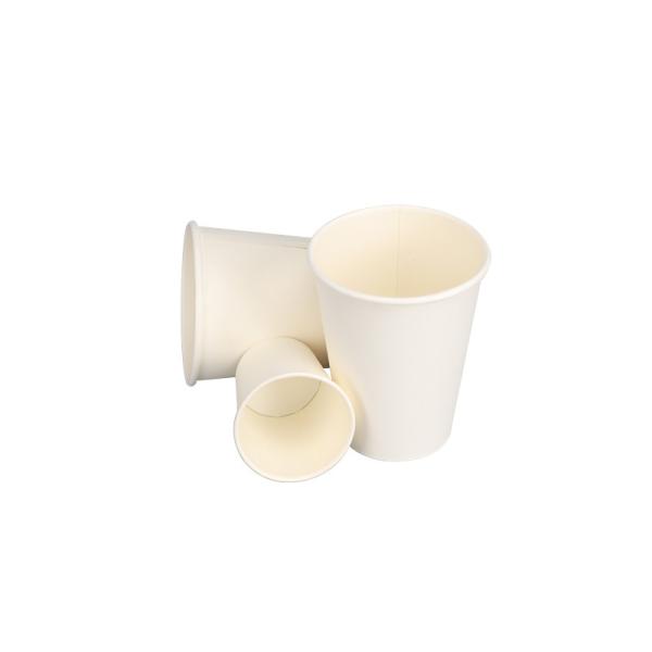 12oz 60mm Bottom Single Wall White Coffee Disposable Paper Cup Biodegradable