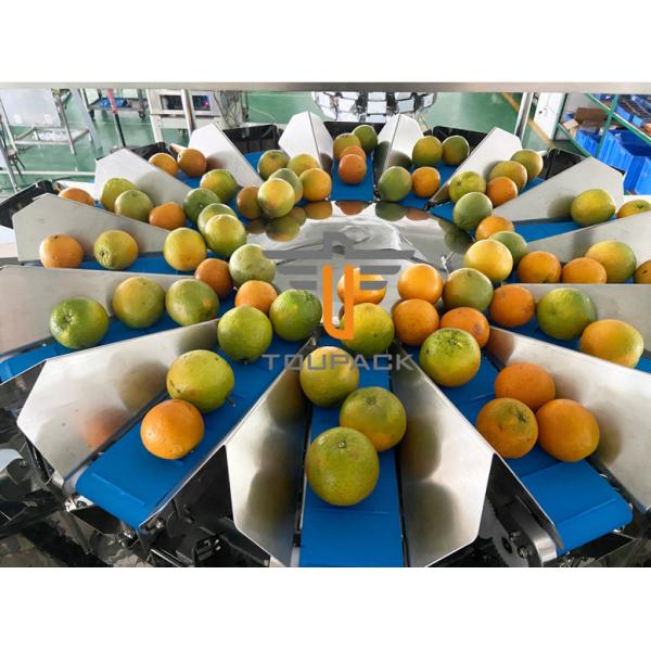 Weigher Multihead хоппера 10 Weigher 2-2500g 1.6L Multihead плода овоща главный