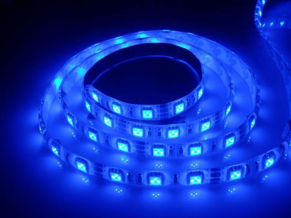 Luz flexibles Azul 5050 24V tira de LED 60 LED Roll 300SMD IP65 JALN7