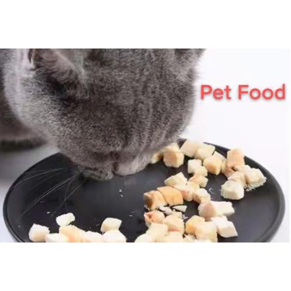 Silent Home Freeze Dryer de 6 à 8 kg de capacité pour conserver les aliments