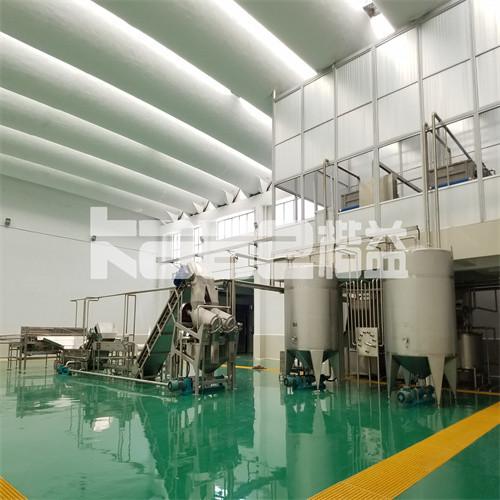 Industrial Strawberry Blueberry Raspberry Wolfberry Making Machine Processing Line