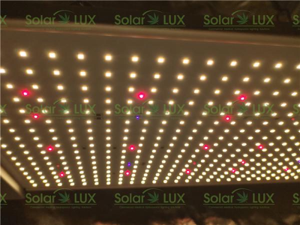 395nm UV IR 730nm 660nm vermelho 240w 2x2 conduzidos crescem a luz