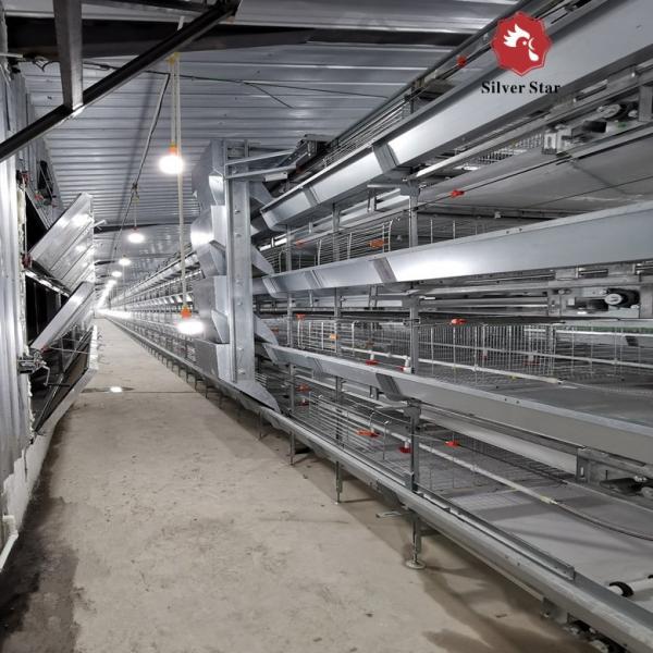 Q235 H Type Automatic Broiler Chicken Cage In Poultry Farm