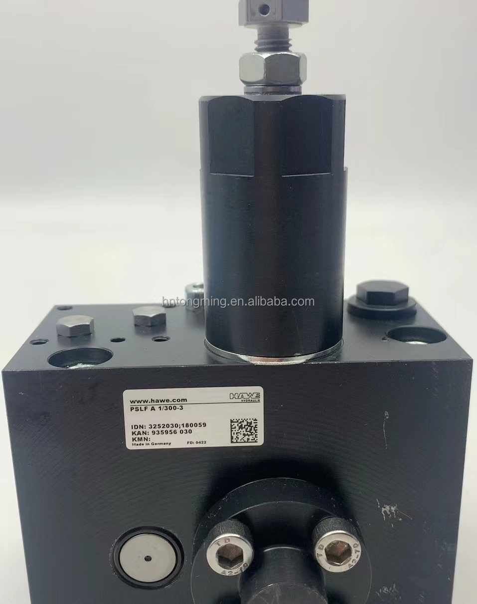 OEM PLSP 41/400-3 Valve for Putzmeister Construction Machinery Model 254879003