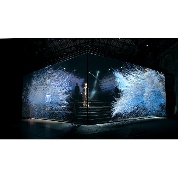 L'écran transparent Hologauze d'hologramme de Pepperscrim 3D pour l'étape voient