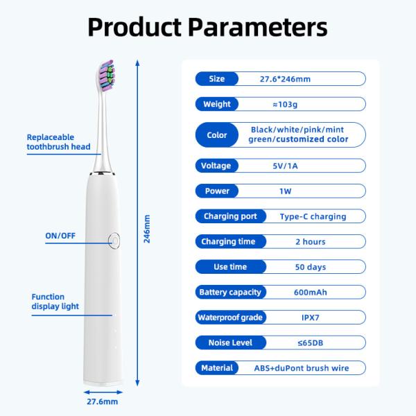 TYPE-C Rechargeable Smart Sonic Electric Toothbrush minimalist Oral Health SN302 Toothbrush