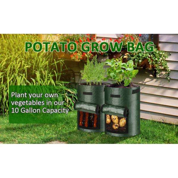 Potato Grow Bags, 4 Pack 10 Gallon With Flap And Handles Planter Pots For Onion, Fruits, Tomato, Carrot - Green