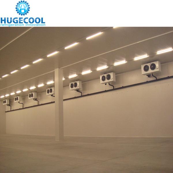 Logistics Cold Storage For Fruit And Vegetable Storage 1400 Tons Large Cold Storage Room Warehouse