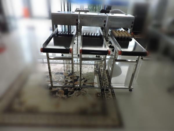 High Performace Egg Jet Printer With Computer Control Dedicated Shuttle Conveyor