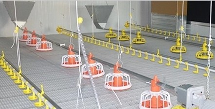 Closed House Chicken 20T Poultry Farm Equipment