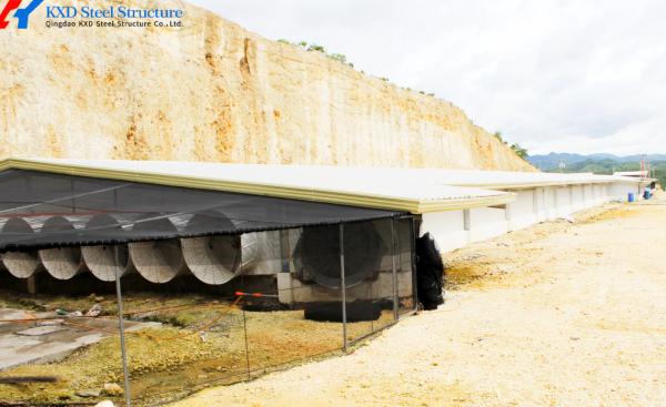 Prefabricated Steel Poultry Shed with Automatic Feeding and Drinking Systems