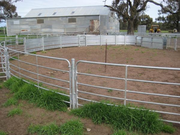 Painéis de cerca de gado galvanizados por imersão a quente de 1,6 m com pinos acessórios/pontas