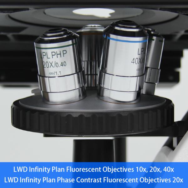 ВФ10кс/22мм Тринокулар перевернуло биологический микроскоп А14.2603 кинтупле большого диаметра